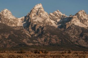 The Grand and its moose