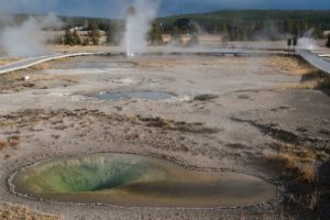 Old Faithful Basin