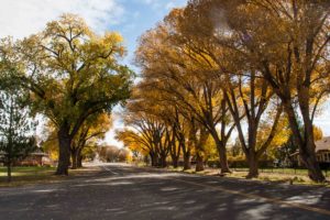 Fall in Capitol Reef
