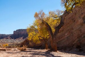 Goblin Valley SP