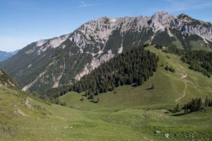 Back to the tame one