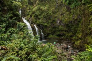 Waterfall - Road to Hana